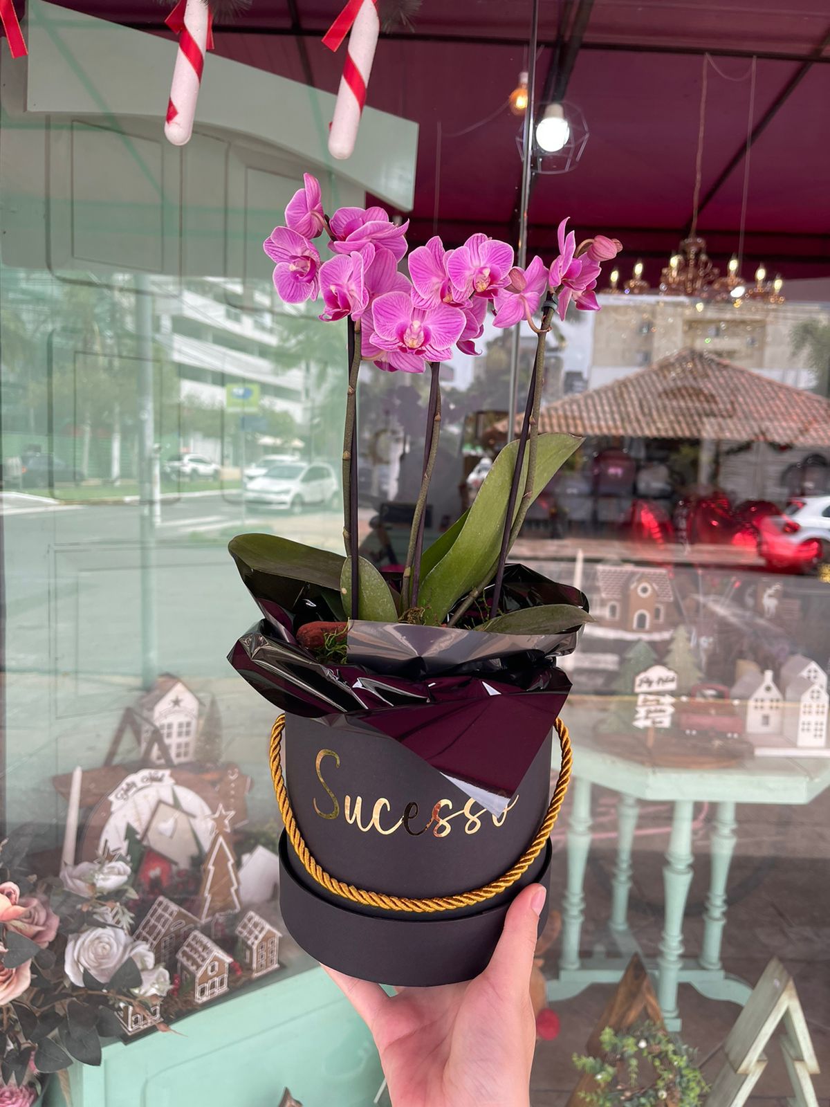 Box Flower Suprema Arte | Nome Personalizado Exclusivo